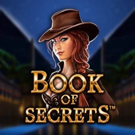 Play Book of Secrets slot by SYNOT Games on bonuskong.lu
